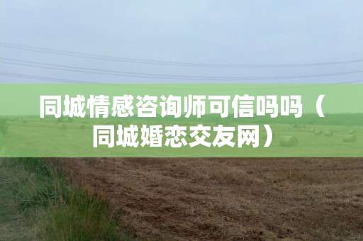 恋爱的进度 从相识到相守的奇妙旅程